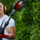All American Arbor Services - Tree Service