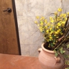 Taziki's Mediterranean Cafe - Auburn gallery