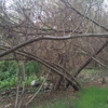 Arroyo Terrace gallery