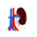 Hideki Greg Kawanishi MD FASN - Physicians & Surgeons, Nephrology (Kidneys)