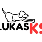 LUKAS K9 Tri-Valley Dog Sitting