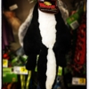 Dollar General gallery