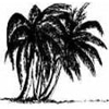 Eau Gallie Wholesale Nursery Inc. gallery