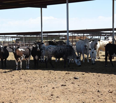 Bales Hay Farm & Ranch Feed Store - Buckeye, AZ