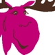 The Fuchsia Moose