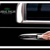 Sabal Palm Limousine gallery