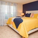 The Reserve at Gwinnett Apartments - Real Estate Rental Service