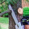 Timber Wood Tree Service gallery