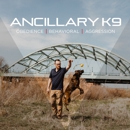 Ancillary K9 Dog Training - Dog Training