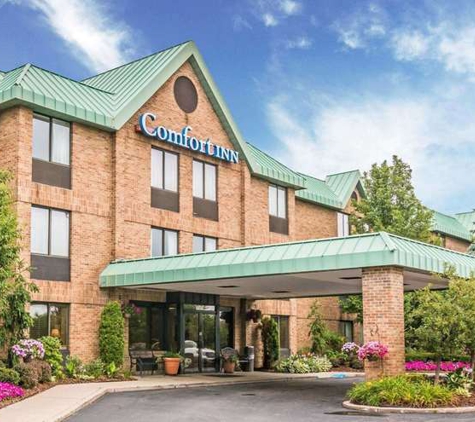 Comfort Inn - Utica, MI