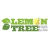Lemon Tree Hair Salon Hurst gallery