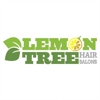 Lemon Tree Hair Salon Smithtown gallery