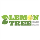 Lemon Tree Hair Salon Hannaford Plaza - Beauty Salons