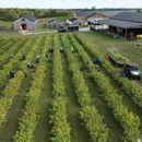 Wholesale Hemp Farms