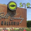 Sneeze Allergy & Cough Centers gallery