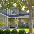 Island Tree Service - Arborists