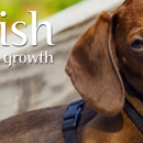 Nourish Pet Care - Pet Stores