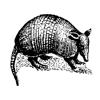 Armadillo Construction gallery