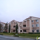 Park Vista Apartments - Apartments