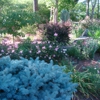 Offshoot Virtual Landscape Services gallery