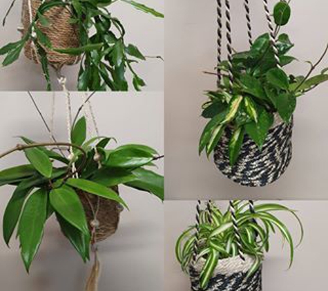 Lilly Pilly Flower Boutique - Moe, VIC