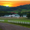 Bella Vista Equestrian Center gallery