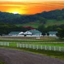 Bella Vista Equestrian Center - Horse Breeders