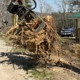 All American Tree Service