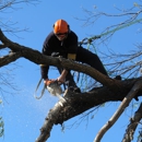 Heflin Tree Service - Tree Service