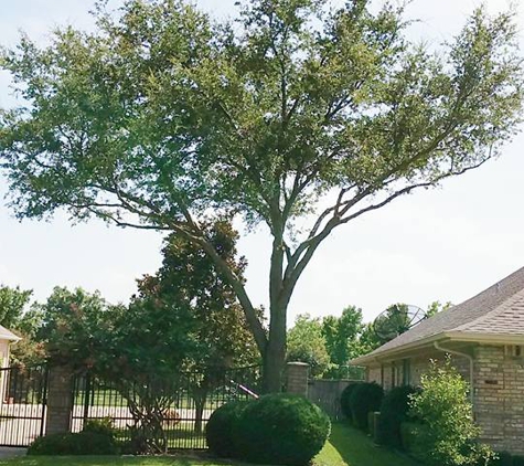 D & M Tree Service - Royse City, TX