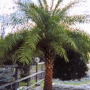 Superior Sod & Garden Supplies - Sod & Sodding Service