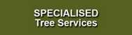 Specialised Tree Services - Arboriculturists