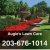 Augies Lawn Care gallery