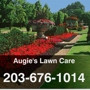 Augies Lawn Care