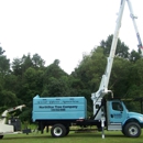 Northstar Tree Company - Tree Service