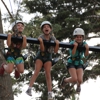 Pali Adventures Summer Camp gallery