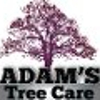 Adam's Tree Care gallery