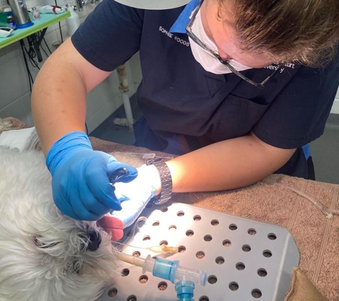Townsville Veterinary Clinic - Aitkenvale, QLD