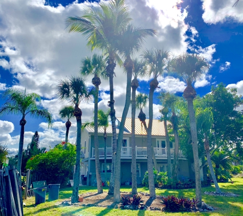 Willis Lawn Care - Sarasota, FL. Siesta key