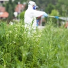 All Pest Control Lakeville gallery