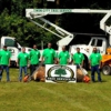 Twin City Tree Services gallery