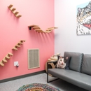 PetVet365 Pet Hospital Irving - Veterinary Clinics & Hospitals