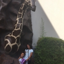 Rainforest Cafe - Party & Event Planners
