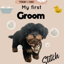 Hollywood houndz pet - Pet Grooming