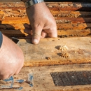Bed bug proz - Pest Control Equipment & Supplies