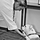 Bowman, Gale DVM - Veterinarians