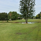 Village Green Golf Club Of Sarasota