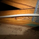 Bugsy's Pest Solutions - Pest Control Services