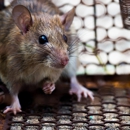 Great Lakes Pest Control Co - Pest Control Equipment & Supplies