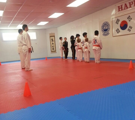 Hyun's Hapkido & Tae Kwon Do (Northside & Southside) - Chicago, IL